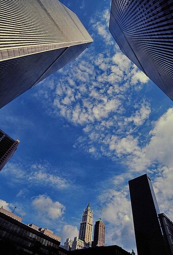 172006789.lmSvSBL8.zzOLYM1649