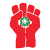 :gonzo_fist: